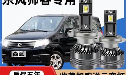 帅客汽车改装配件_帅客改装房车