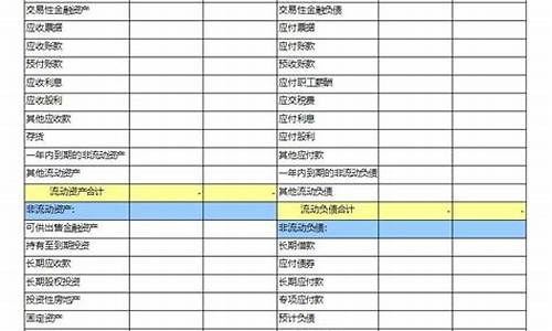 南骏汽车集团财务报表分析_南骏汽车集团财务报表