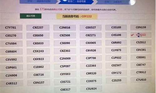 汽车牌照选号模拟系统-汽车牌照选号模拟