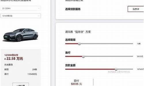 比亚迪海豚分期免息政策-买比亚迪海豚有补贴吗